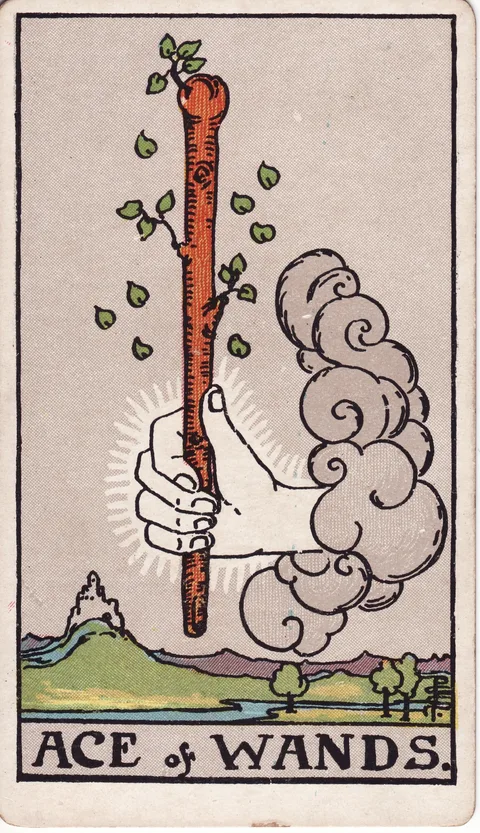 Ás de Paus